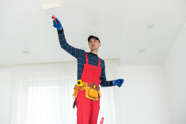 Best Water-Damaged Drywall Repair  in Miamisburg, OH